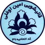 info.carpet.carpetwash_amin