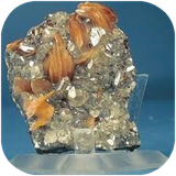 tehran.sorbvatarkibatean