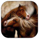 amozsh.gam.b.gam.naghashi