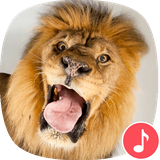 io.appp.sounds.lion
