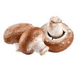 ghazabagha.ghazabagha71