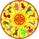 com.company.taleheyvanat