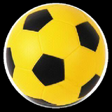 ir.professinal.football