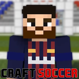 co.ageofcraft.procraftsoccer