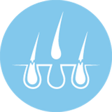 abd.mehran.salamatmo