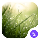 com.apusapps.theme.i_the_lush_leaves_a37dceb435