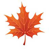 mehdiii.play.fallmode