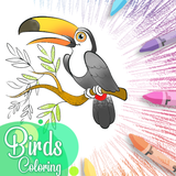 com.yashar.BirdsColoringcafe