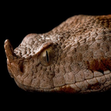 arsem.app.anvaemarhay