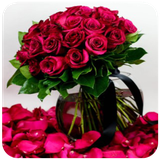 com.FlowerArrangementDesign.sitd212