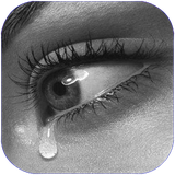 zemestan.amrazecheshm