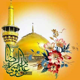 com.naghdi.ziaratemamreza