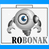 dev_robonak.ir.woocommerce