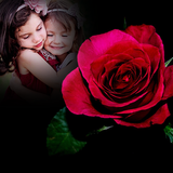 com.photoappzone.photoframes.rose.cover.photo.frames