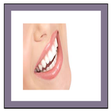 com.example.ptp_dandansefid