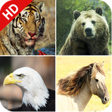 com.vivasol.animalsounds.animal_sound