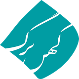 ir.kohanbarg.app.android