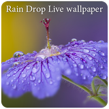com.appbasic.raindrop