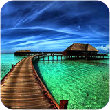 bodo.jazebehayetabiei