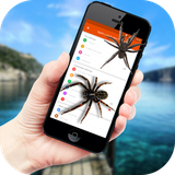 zahed.app.spider