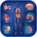 com.medical.human_anatomy.physiology