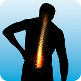 buy.setareh.kamardard