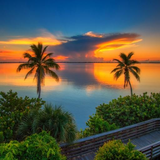 com.sayurilittlelilly88.GmnFlowerRussian