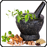 com.gandom.salamatoksir