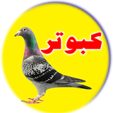 pigeon.app.vet