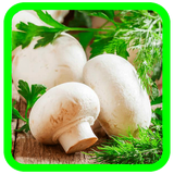 com.puzzley.com.puzzley.mushrooms88408