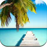 com.tropical.wallpaper.beach.palmtree.HD.wallpaper