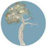 com.KaleidoscopeAxiom.Krystallos