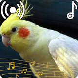 com.appsocean.cockatielsounds