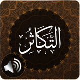 com.islam.surahtakathuraudio