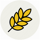 ir.parvaresh.golza.va.gandom.d