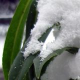 uk.co.essoft.SnowLiveWallpaper