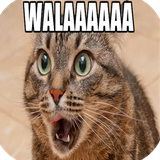 com.rocapp.imagenesdehumor3