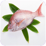 mast.favayedvamozeratemahi