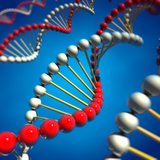 com.egooroo.brightresearch