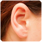 net.berke.app.sal.goosh