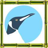 ir.janevarshenasi.sall