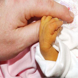 ir.jologere.az.zarde.nozad