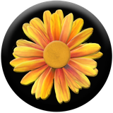 com.lokifrens.deseos