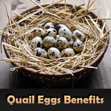 com.healthybytes.quaileggs.quaileggsbenefits