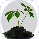 zemestan.giahaneshafabakhsh