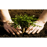 com.example.bookreza