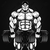 bodybuilding.shahin.mo920