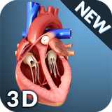 com.visual3dscience.heartpro