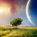 com.example.soodbanki12345