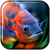 aquarium3D.tbem.com